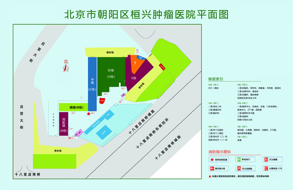 大鸡巴操得女人求饶视频北京市朝阳区桓兴肿瘤医院平面图